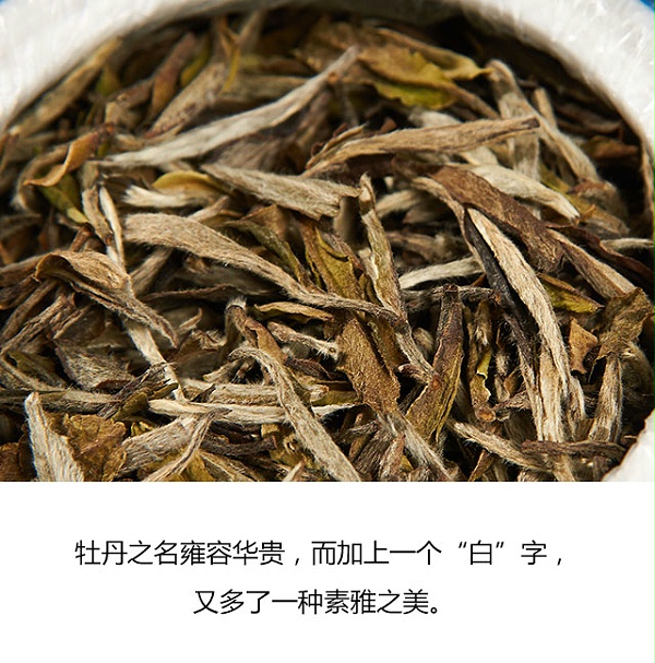 2识白茶记640_07